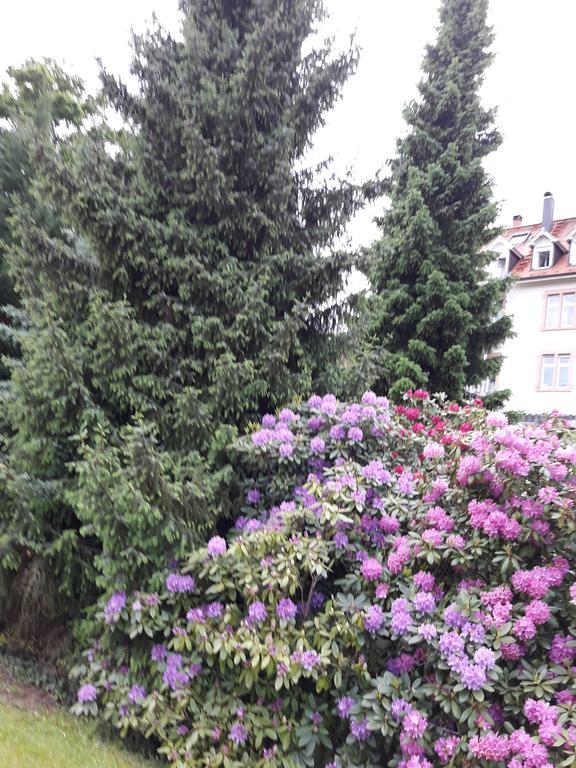 Apartment Near Villa Turgenev Baden-Baden Exterior foto
